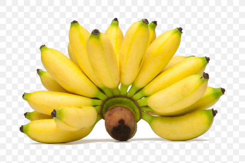 Kamphaeng Phet Province Lady Finger Banana Pisang Awak Musa Balbisiana, PNG, 1166x777px, Kamphaeng Phet Province, Banana, Banana Family, Cavendish Banana, Cucumber Download Free