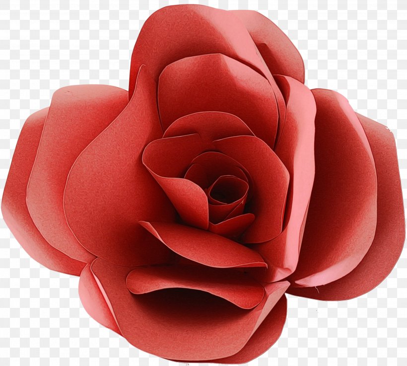 Pink Flower Cartoon, PNG, 2795x2515px, Garden Roses, Camellia, Cut Flowers, Flower, Garden Download Free