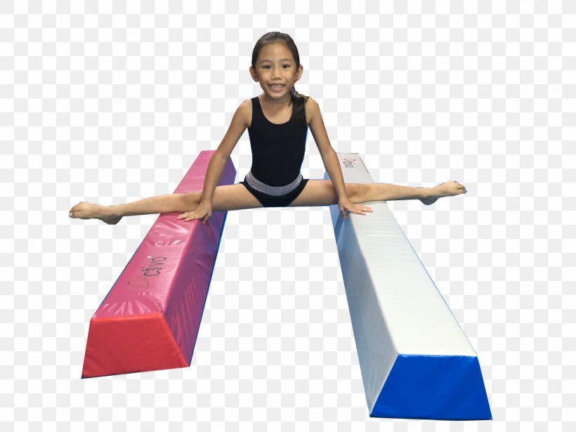 Balance Beam Gymnastics Physical Education Mat Sporting Goods, PNG, 1024x768px, Balance Beam, Arm, Balance, Ball, Beam Download Free