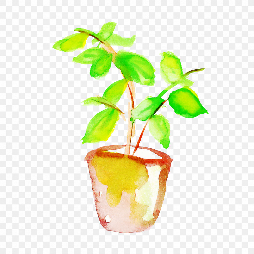 Flowerpot Leaf Houseplant Plant Flower, PNG, 2000x2000px, Watercolor Leaf, Branch, Flower, Flowerpot, Houseplant Download Free