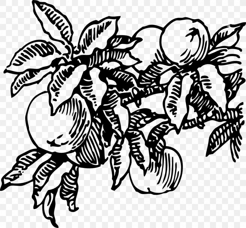 James And The Giant Peach Clip Art, PNG, 1000x927px, James And The Giant Peach, Art, Artwork, Black And White, Butterfly Download Free