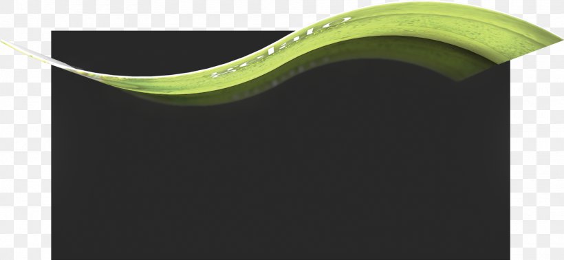 Leaf, PNG, 1920x886px, Leaf, Grass, Green Download Free