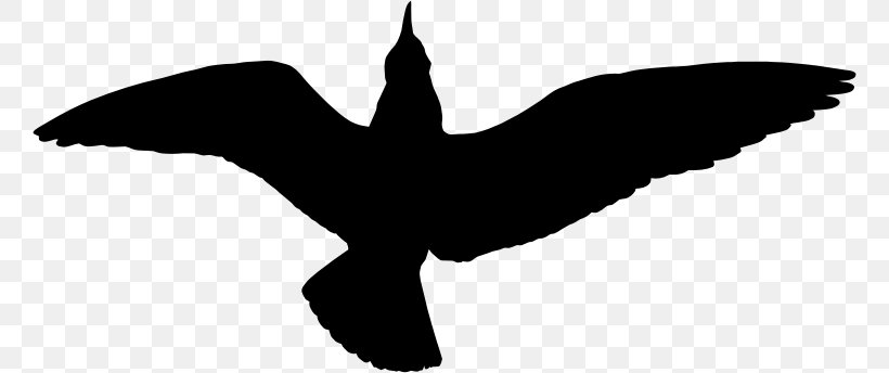 Gulls Bird Silhouette Clip Art, PNG, 760x344px, Gulls, Beak, Bird, Black And White, Drawing Download Free