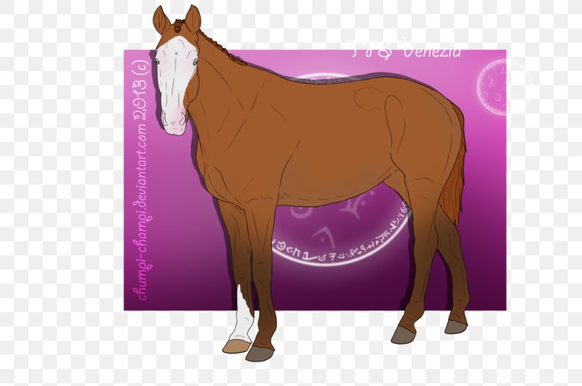 Mule Foal Mustang Stallion Mare, PNG, 1024x680px, Mule, Bridle, Cartoon, Colt, Foal Download Free