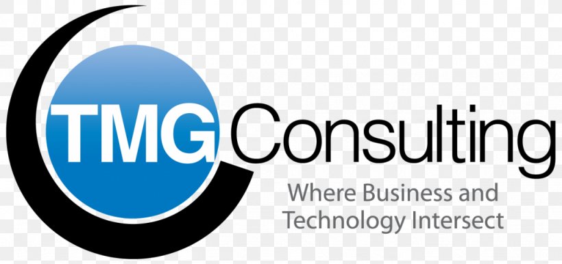 Organization Business Consultant Management Consulting Industry, PNG, 1024x481px, Organization, Area, Blue, Brand, Business Download Free