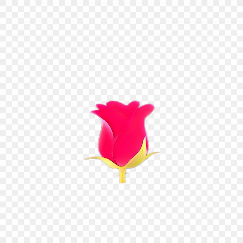 Pink Flower Cartoon, PNG, 3000x3000px, Cartoon, Bud, Closeup, Computer, Flower Download Free