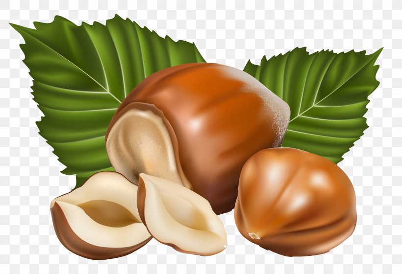 Praline Custard Hazelnut Chocolate Flavor, PNG, 2819x1926px, Praline, Biscuits, Candy, Chocolate, Commodity Download Free