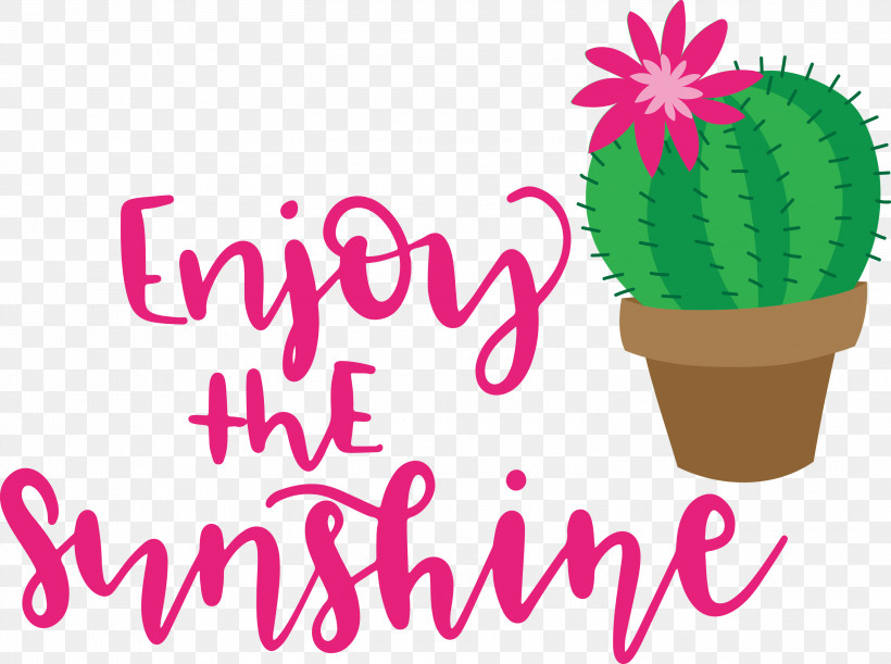 Sunshine Enjoy The Sunshine, PNG, 3000x2237px, Sunshine, Biology, Cactus, Flower, Flowerpot Download Free