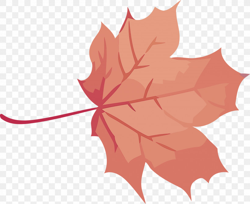 Autumn Leaf Yellow Leaf Leaf, PNG, 3000x2445px, Autumn Leaf, Autumn, Black Maple, Deciduous, Flower Download Free