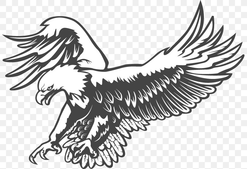 Bald Eagle Clip Art Black And White Vector Graphics, PNG, 805x563px, Bald Eagle, Artwork, Beak, Bird, Bird Of Prey Download Free