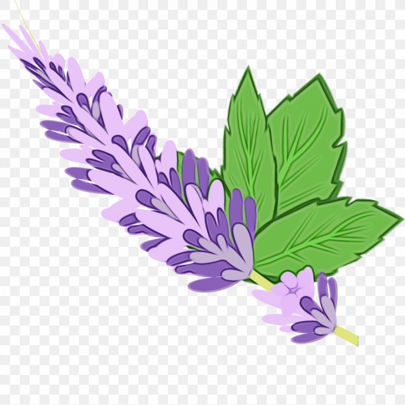 Feather, PNG, 900x902px, Watercolor, Feather, Flower, Flowering Plant, Herbal Download Free
