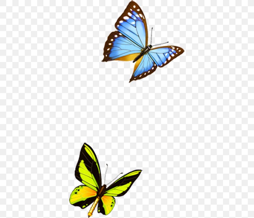 Mimpi IBM ThinkPad Butterfly Keyboard Application Software Download, PNG, 373x703px, Mimpi, Application Software, Arthropod, Brush Footed Butterfly, Butterflies And Moths Download Free