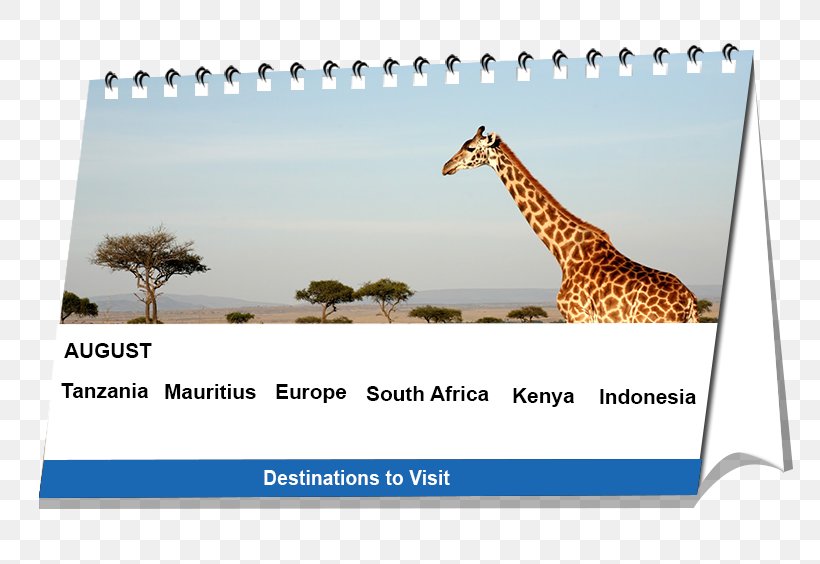 Mombasa Maasai Mara Lion Nairobi Travel, PNG, 772x564px, Mombasa, Africa, Book, Calendar, Eventoed Ungulates Download Free