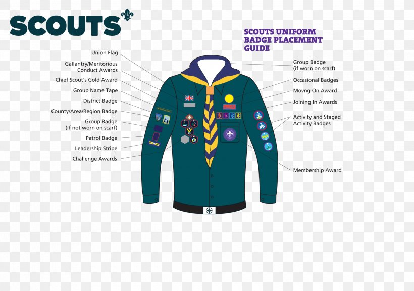 Scouting Scout Group Cub Scout Beavers Uniform And Insignia Of The Boy Scouts Of America, PNG, 2480x1748px, Scouting, Badge, Beaver Scouts, Beavers, Blue Download Free