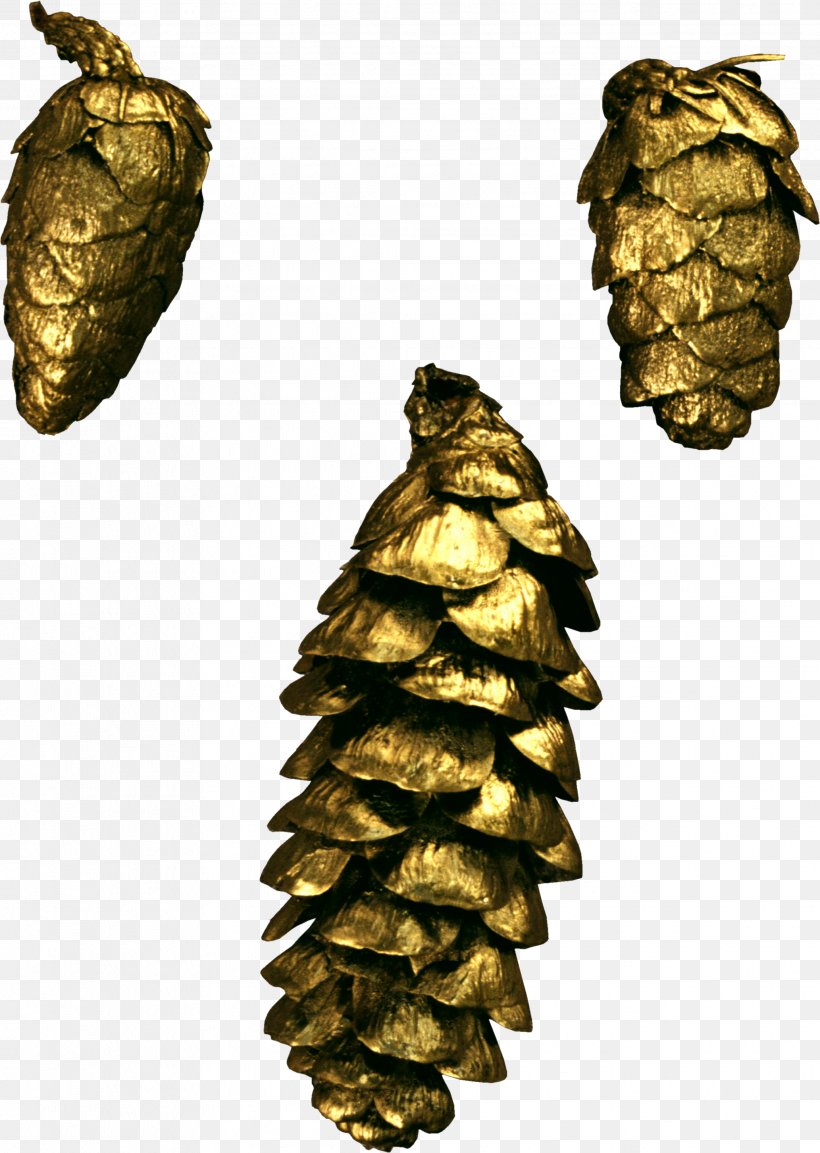 Conifer Cone Pine Conifers Needle Clip Art, PNG, 2066x2907px, Conifer Cone, Christmas Ornament, Conifer, Conifers, Holiday Download Free