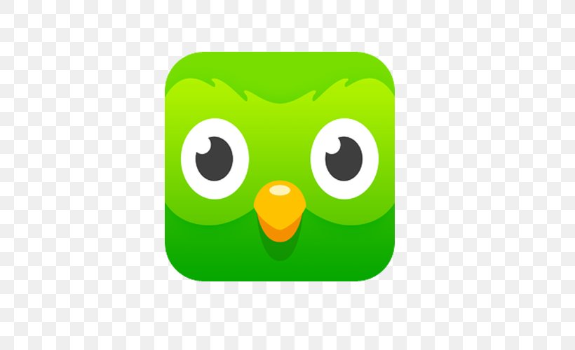 Duolingo Learning Foreign Language Translation, PNG, 600x500px, Duolingo, Android, Beak, Before You Know It, Bird Download Free