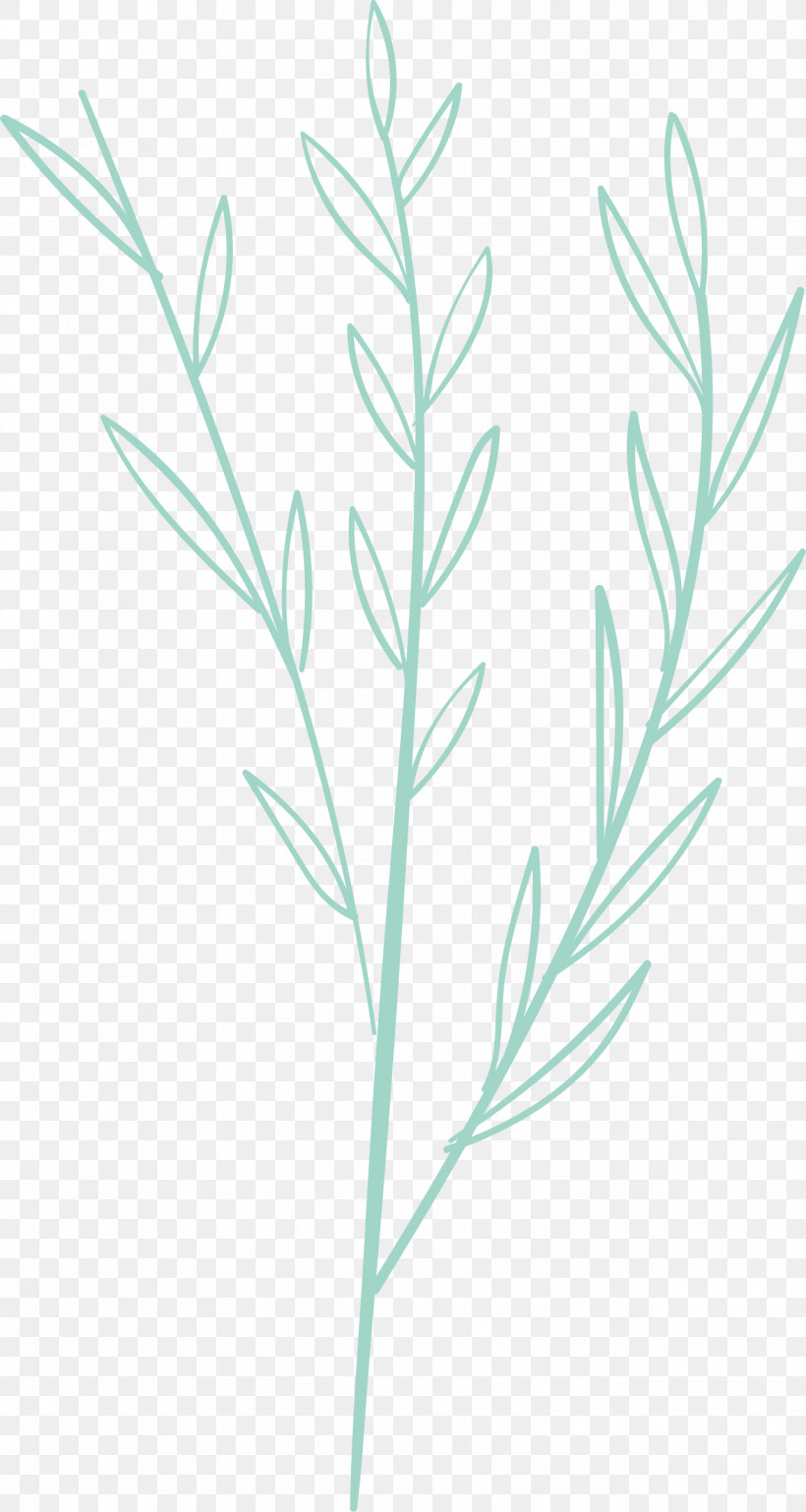 Simple Leaf Simple Leaf Drawing Simple Leaf Outline, PNG, 1291x2422px, Simple Leaf, Biology, Grasses, Leaf, Plant Stem Download Free