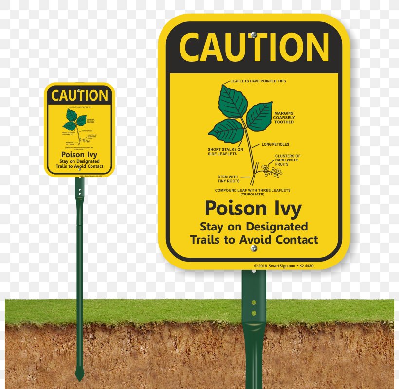 Traffic Sign Signage Aluminium Duck Crossing Yellow, PNG, 800x800px, Watercolor, Cartoon, Flower, Frame, Heart Download Free