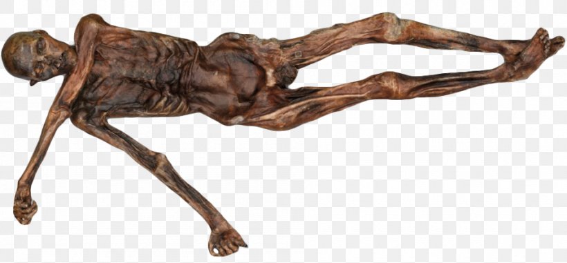 Ötzi Prehistory Ice Mummy: The Discovery Of A 5,000-year-old Man The Iceman, PNG, 950x442px, Prehistory, Animal Figure, Bolzano, Bronze, Cadaver Download Free