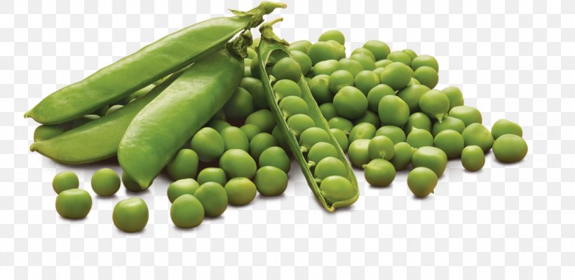 Vegetable Cartoon, PNG, 1179x576px, Pea, Commodity, Cuisine, Edamame, Flowering Plant Download Free