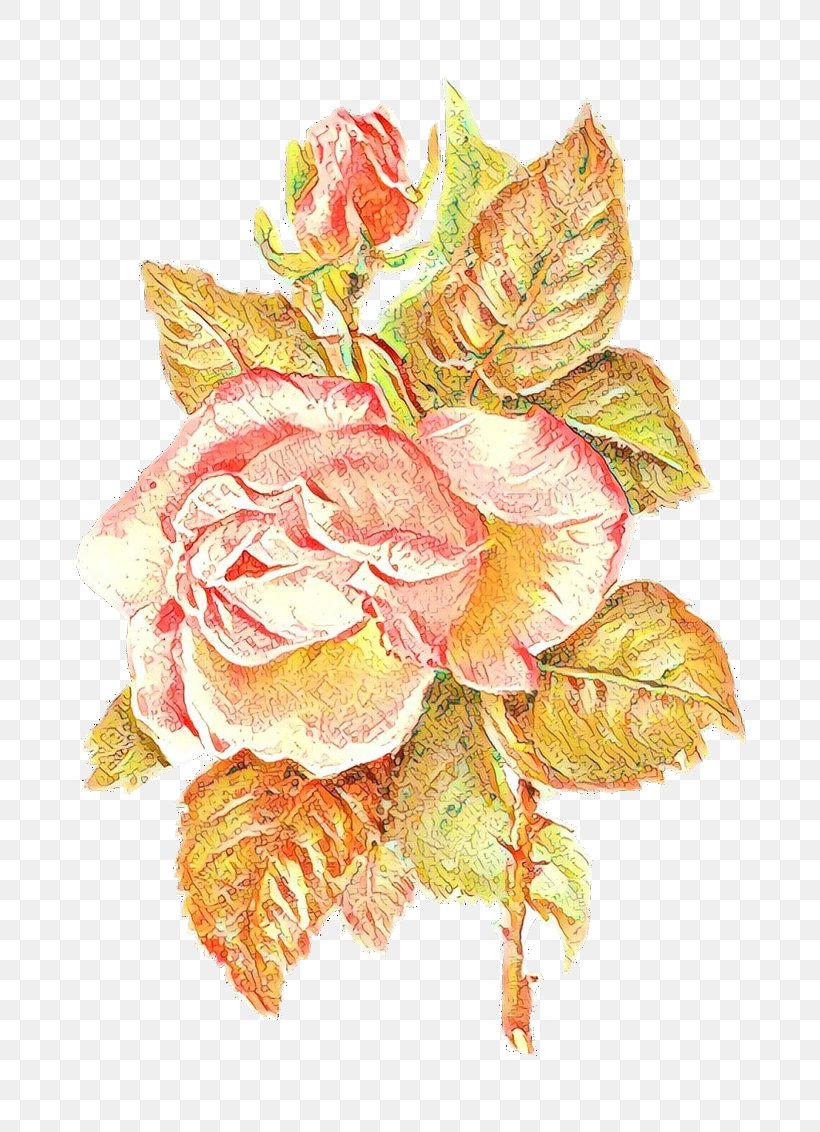Garden Roses, PNG, 802x1132px, Cartoon, Cut Flowers, Flower, Garden Roses, Pink Download Free