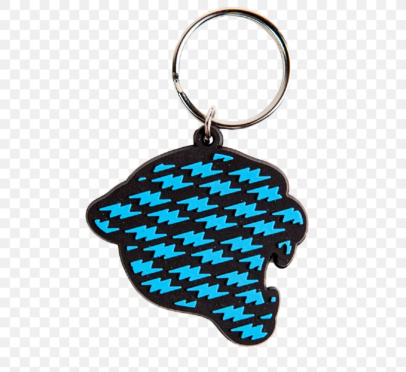 Key Chains Pantone Plastic Manufacturing Metal, PNG, 750x750px, Key Chains, Brand, Clothing Accessories, Color, Color Chart Download Free