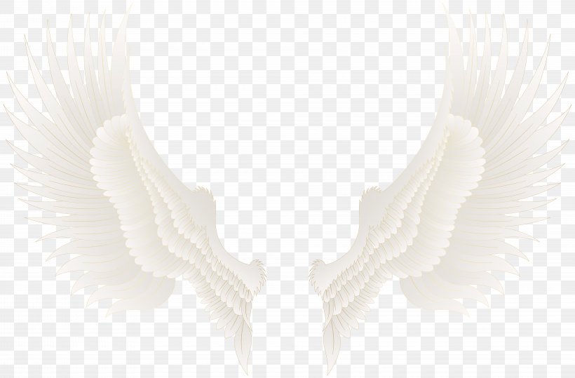 Neck, PNG, 8000x5267px, Neck, Feather, White, Wing Download Free