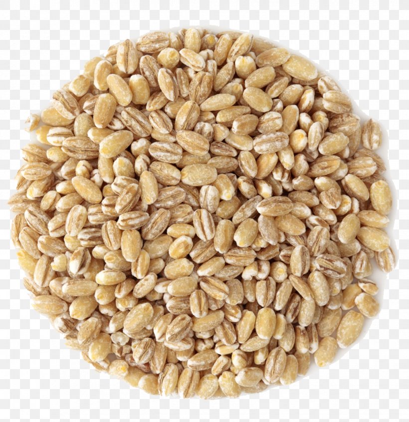 Spelt Breakfast Cereal Whole Grain, PNG, 1019x1052px, Spelt, Barley, Barleycorn, Breakfast Cereal, Cereal Download Free