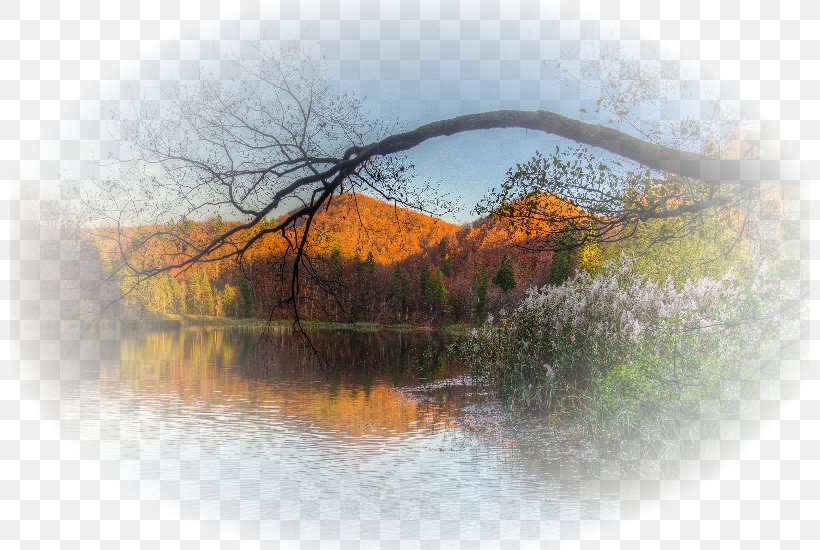 Autumn Animation, PNG, 800x550px, Autumn, Animation, Bank, Drawing, Lake Download Free