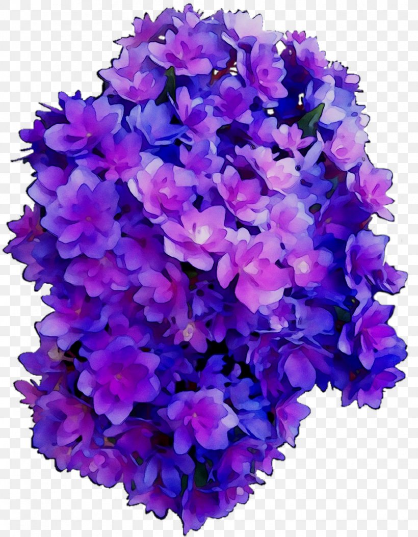 Hydrangea Vervain Cut Flowers Annual Plant Herbaceous Plant, PNG, 1016x1306px, Hydrangea, Annual Plant, Artificial Flower, Blue, Bouquet Download Free