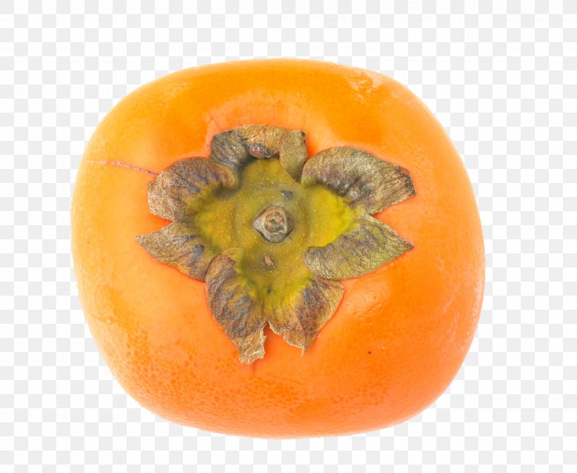 Persimmon Fruit Photography, PNG, 2440x2000px, Persimmon, Calabaza, Creative Work, Cucurbita, Diospyros Download Free