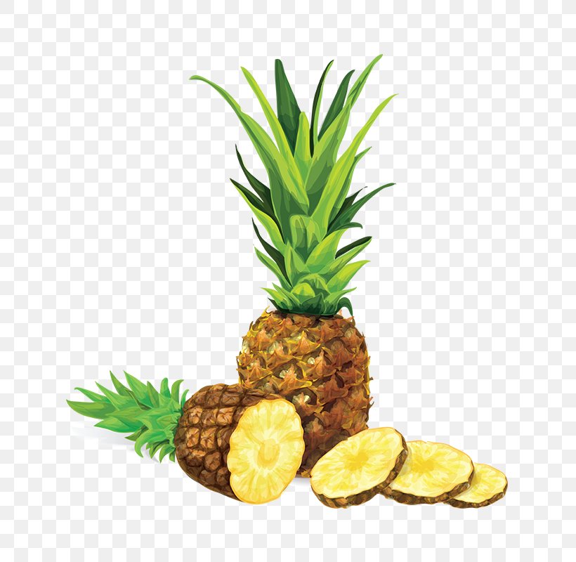 Pineapple Drawing Royalty-free Illustration, PNG, 800x800px, Pineapple, Ananas, Bromeliaceae, Drawing, Flowerpot Download Free