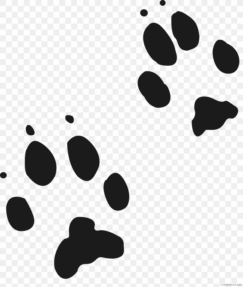 Red Fox Wolf Gray Fox Animal Track Cougar, PNG, 1463x1734px, Red Fox, Animal, Animal Track, Black, Black And White Download Free