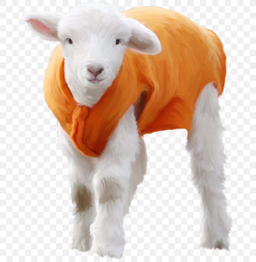 Sheep Goat Image Animal, PNG, 692x840px, Sheep, Animal, Animal Figure, Blog, Cattle Like Mammal Download Free