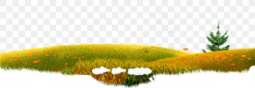 Water Resources Desktop Wallpaper Grasses Vegetation, PNG, 2500x870px, Water Resources, Commodity, Family, Grass, Grass Family Download Free