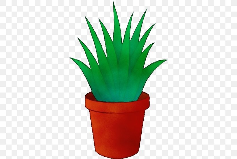 Flowerpot Houseplant Plant Agave Flower, PNG, 550x550px, Watercolor, Agave, Aloe, Flower, Flowerpot Download Free