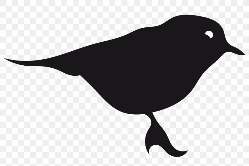 Logo Hatshoe-bxl Icon Design, PNG, 1800x1200px, Logo, Beak, Bird, Black And White, Fauna Download Free