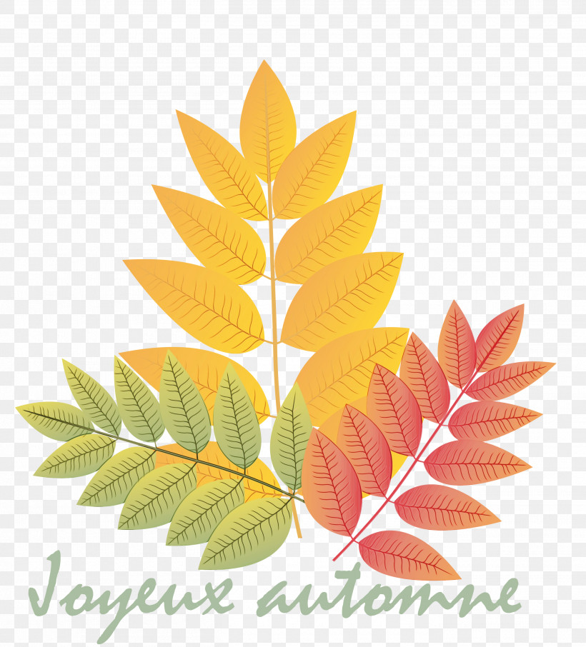 Maple Leaf, PNG, 2715x3000px, Hello Autumn, Branch, Crown, Deciduous, Flower Download Free