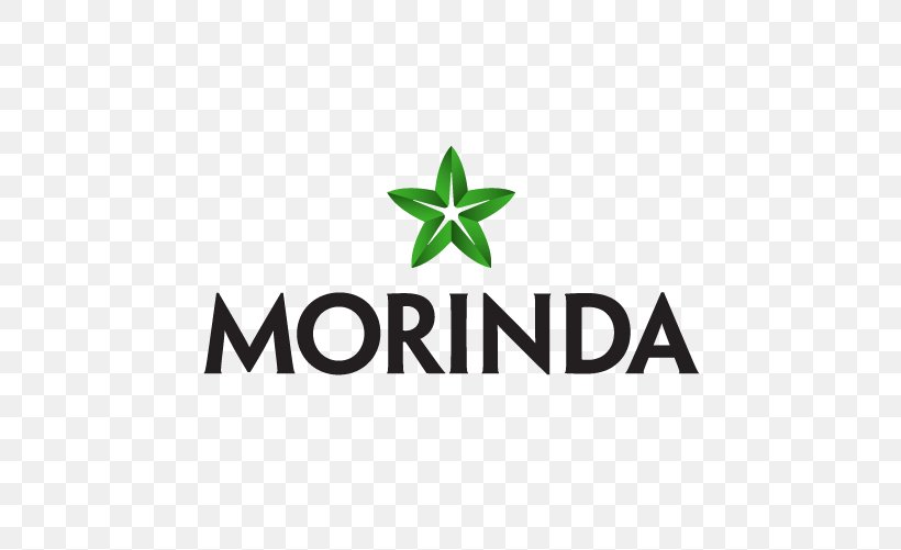 Morinda, Inc. Cheese Fruit American Fork Logo Noni Juice, PNG, 501x501px, Cheese Fruit, American Fork, Area, Brand, Business Download Free