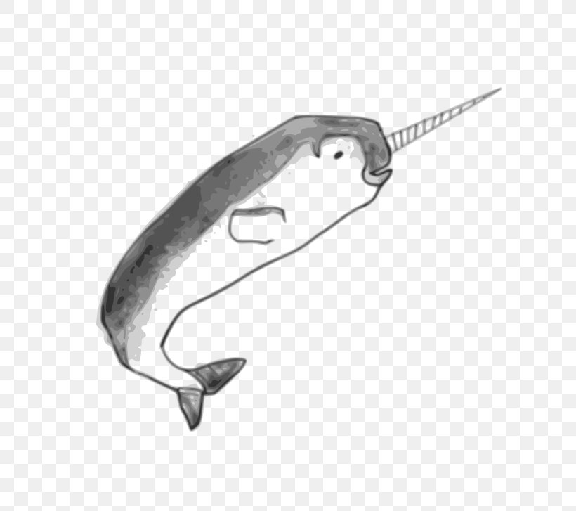 Narwhal Toothed Whale Clip Art, PNG, 800x727px, Narwhal, Black And White, Drawing, Fashion Accessory, Fish Download Free