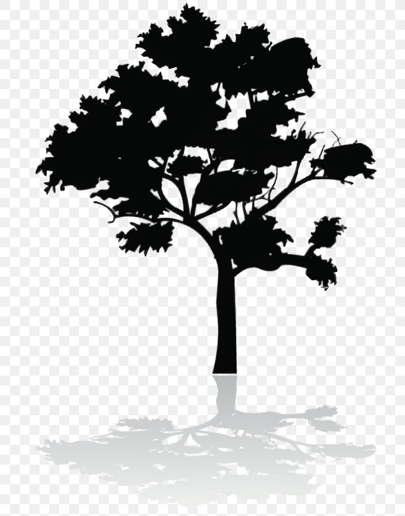 Oak Tree Silhouette, PNG, 756x1044px, Silhouette, Blackandwhite, Branch, Deciduous, Leaf Download Free