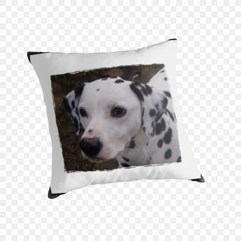 Dalmatian Dog Dog Breed Throw Pillows Cushion, PNG, 875x875px, Dalmatian Dog, Breed, Carnivoran, Cushion, Dalmatian Download Free