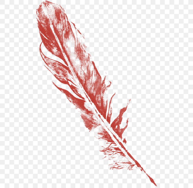 Feather Bird Drawing, PNG, 524x800px, Feather, Art, Bird, Drawing, Painting Download Free