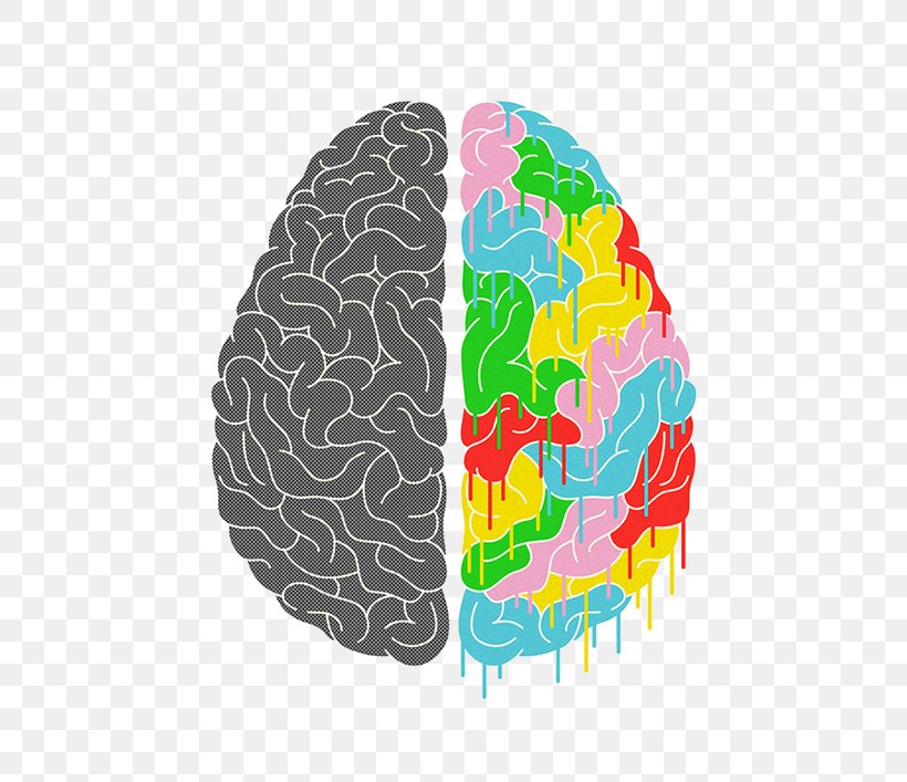 Lateralization Of Brain Function Human Brain Poster, PNG, 500x707px, Watercolor, Cartoon, Flower, Frame, Heart Download Free