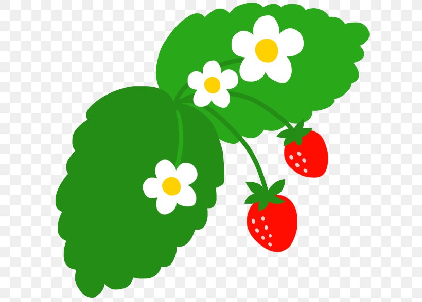 Strawberry Food Fruit Clip Art, PNG, 630x588px, Strawberry, Artwork, Bean, Drink, Flora Download Free