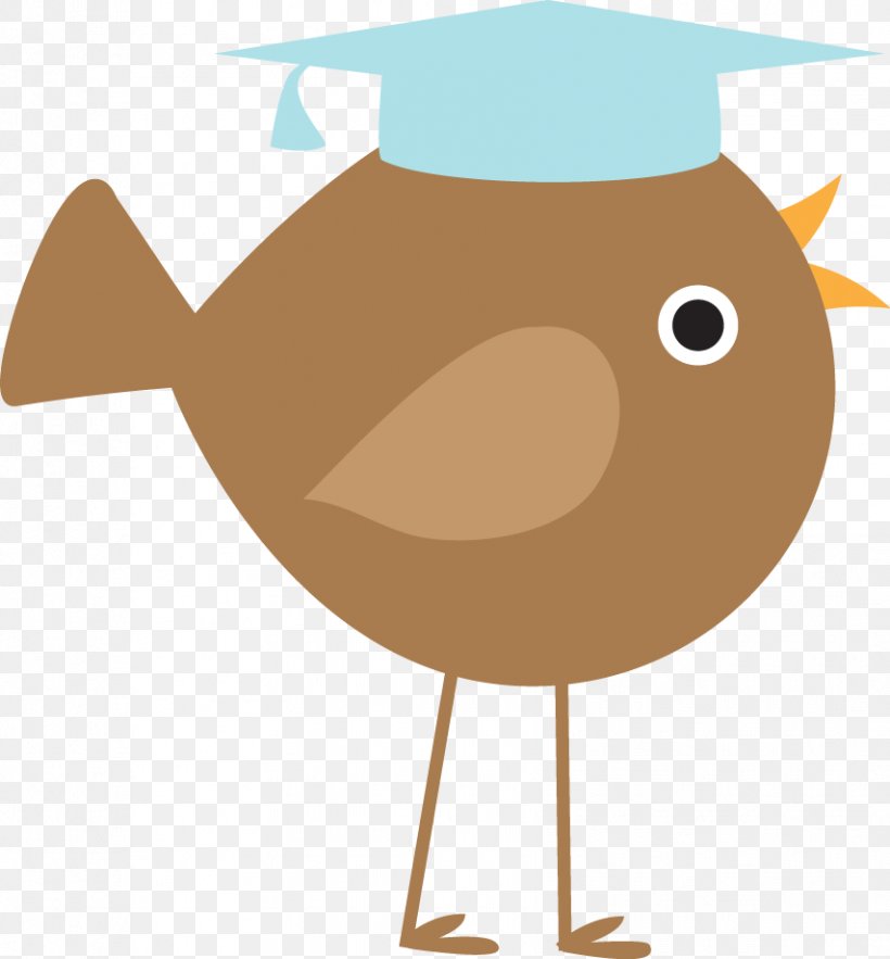 Graduation Ceremony Pre-kindergarten Pre-school Diploma, PNG, 854x920px, Graduation Ceremony, Beak, Bird, Chicken, Child Download Free
