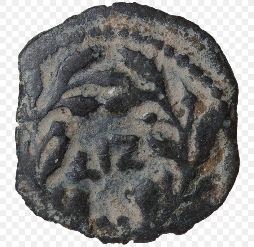 Israel Museum Coin Lituus Praefectus Prutah, PNG, 800x800px, Israel Museum, Coin, Currency, Israel, Jerusalem Download Free