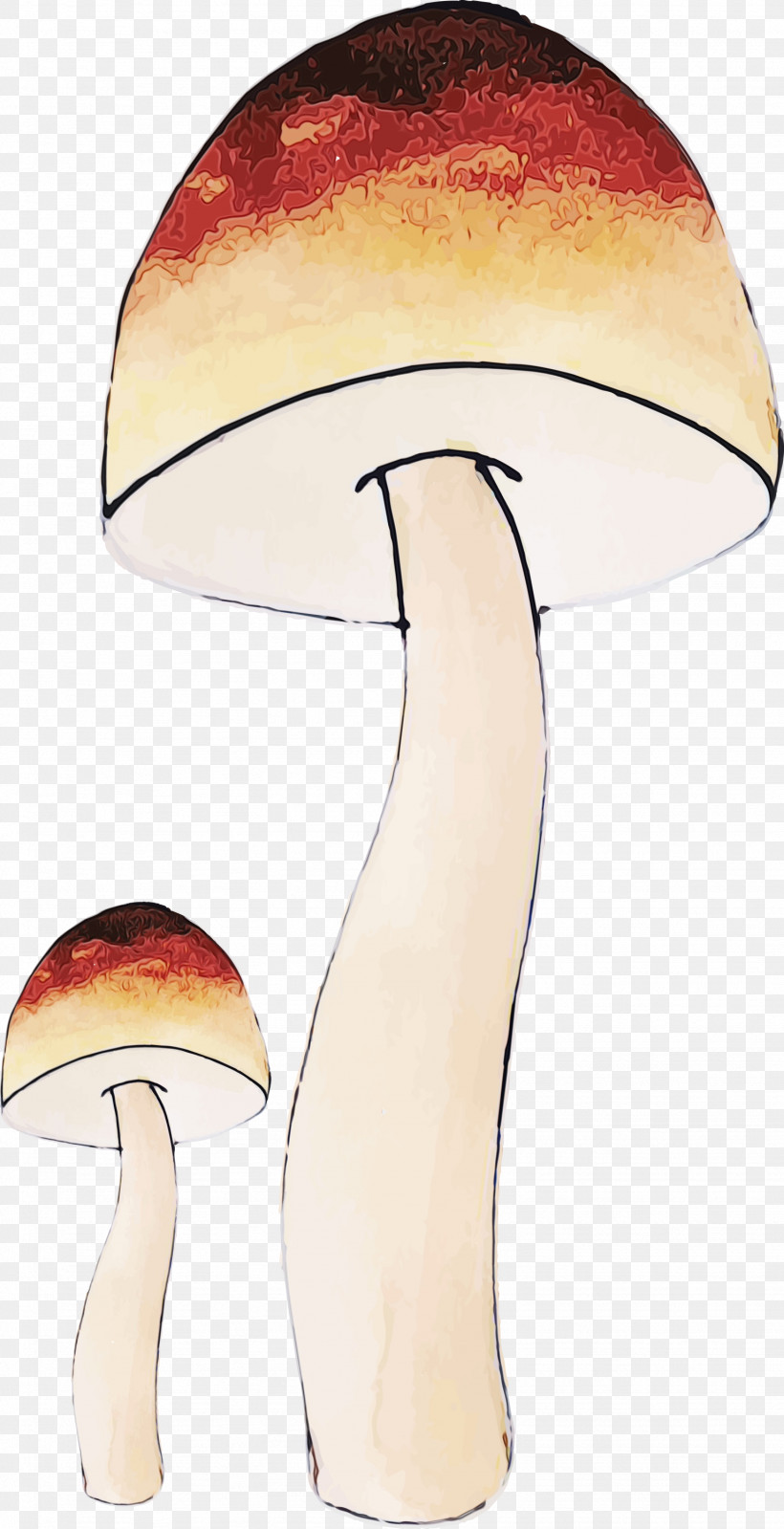 Mushroom Lamp Table, PNG, 1537x2999px, Watercolor Mushroom, Lamp, Mushroom, Paint, Table Download Free