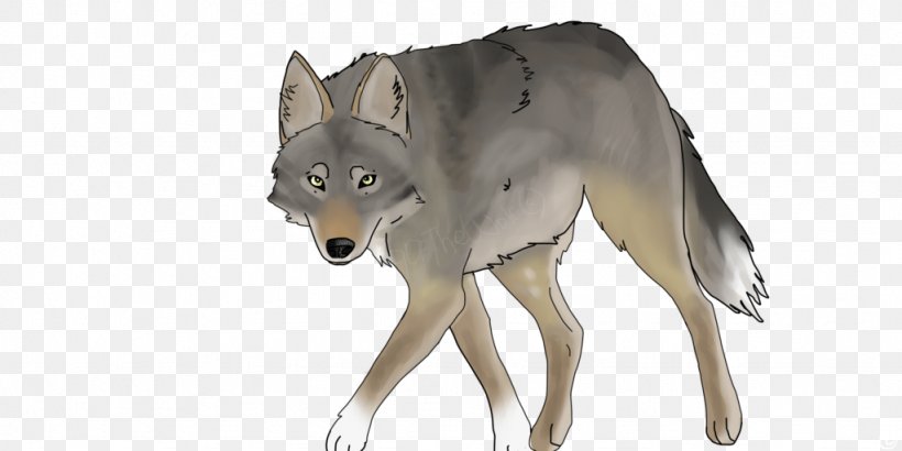 Saarloos Wolfdog Czechoslovakian Wolfdog Coyote Gray Wolf, PNG, 1024x512px, Saarloos Wolfdog, Carnivoran, Coyote, Czechoslovakia, Czechoslovakian Wolfdog Download Free