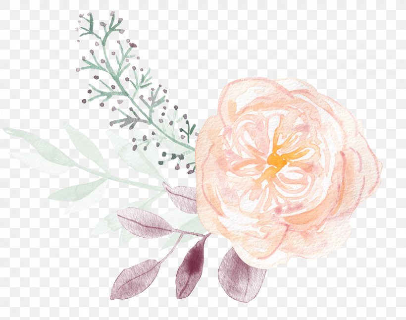Watercolor Painting Vector Graphics Drawing Image, PNG, 2249x1773px, Watercolor Painting, Cut Flowers, Drawing, Flower, Flowering Plant Download Free